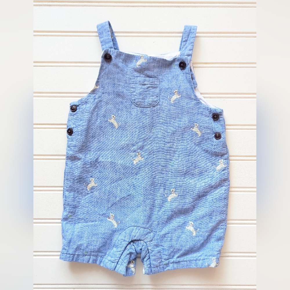 Janie and Jack Light Blue Kids Overalls with Dog Tennis Ball Print
